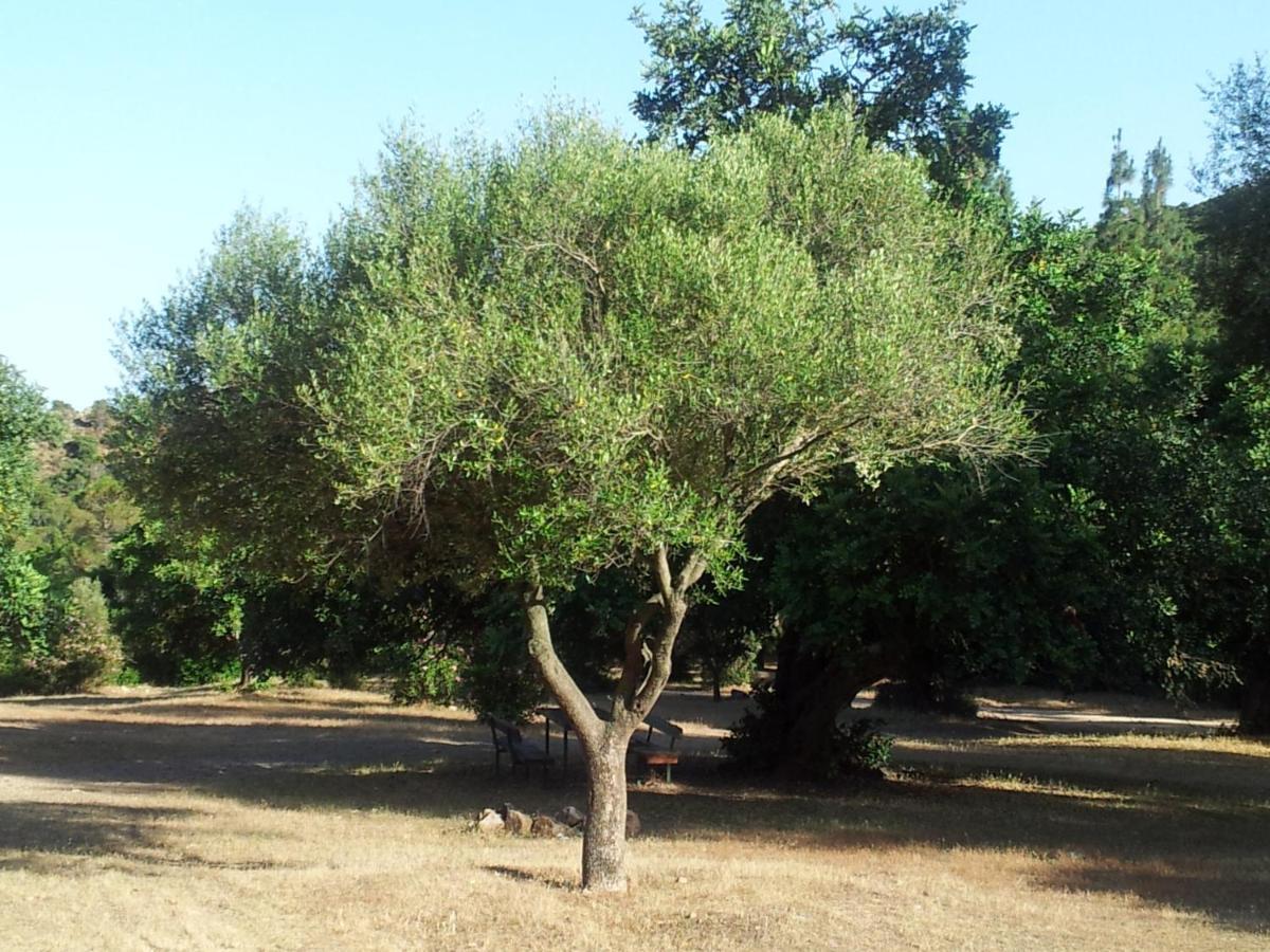 Villa La Casa di Sara Pula Esterno foto