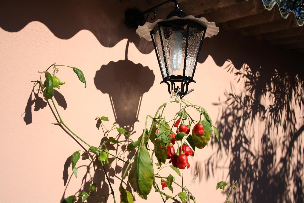 Villa La Casa di Sara Pula Esterno foto
