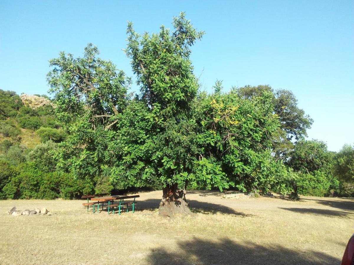 Villa La Casa di Sara Pula Esterno foto